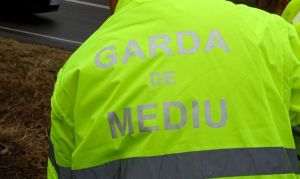 Primăria Sector 3, amendată de Garda de Mediu pentru lucrări neautorizate în Parcul IOR